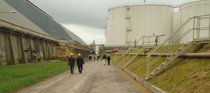 Productores de biodiesel, en alerta