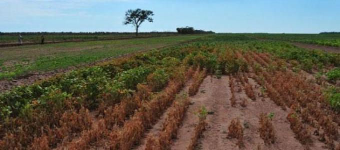 Cayeron las reservas de agua para los cultivos por falta de lluvias y altas temperaturas