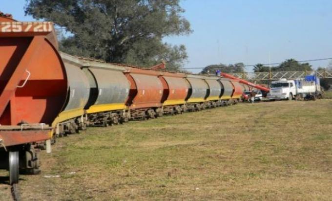 Cae la carga total transportada por ferrocarril en la Argentina