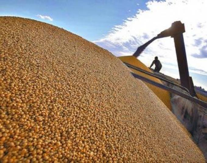 Exportaciones del complejo sojero crecieron 11,9% en 2015