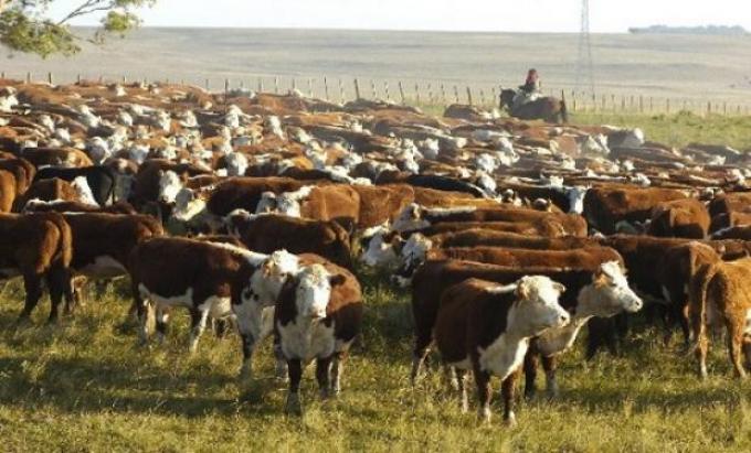 Apoyo del IPCVA al “Control Parasitario Sustentable"