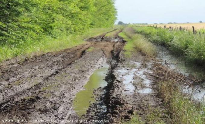 Caminos rurales rebalsados de agua: ¿se complica la cosecha?