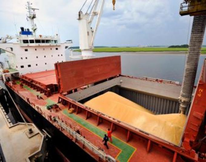 Cerealeras prometieron liquidar US$ 7000 millones hasta mayo