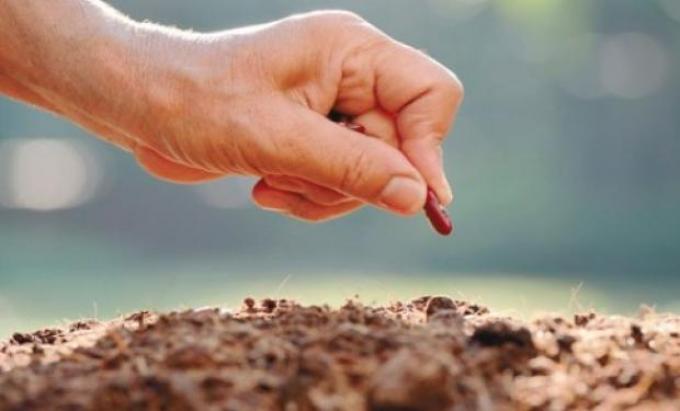 Se habla de un "cambio dramático" en el agro