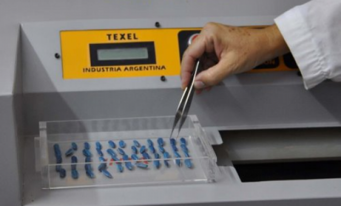 Rayos X para determinar la calidad de una semilla