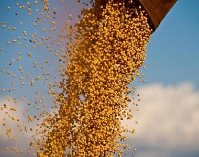 "Cláusula Bolsatech" en las ventas de soja