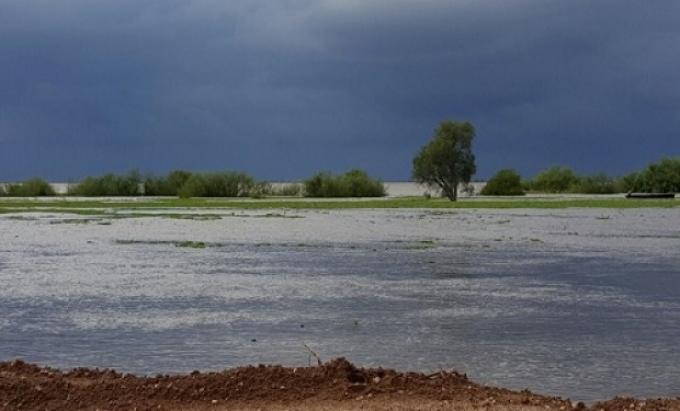 El clima no da tregua