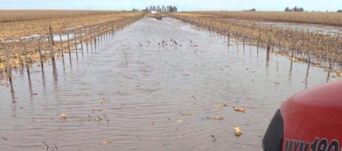 Santa Fe declaró la emergencia por lluvias en casi todos sus departamentos