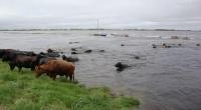 "Hay miles de productores sufriendo las consecuencias del agua"