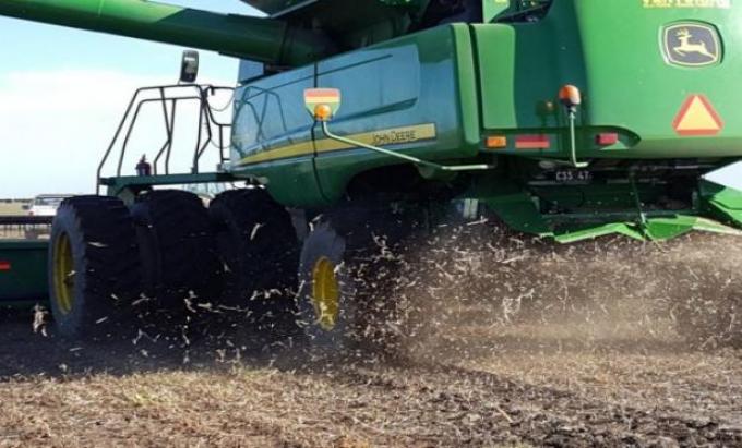 Cosecha: control y ajustes en condiciones adversas