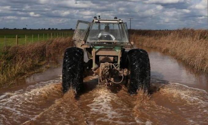 Soja: pérdidas mayores a los 4 millones de toneladas