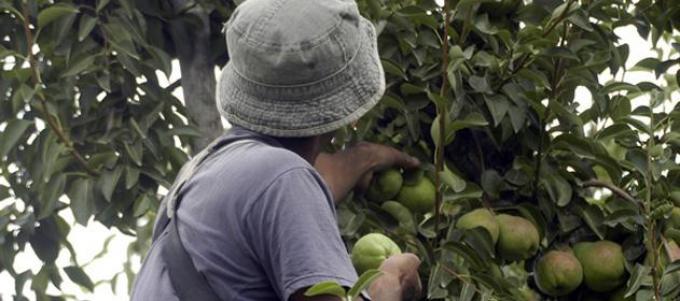 Buscan crear un Régimen de Promoción a las Economías Regionales