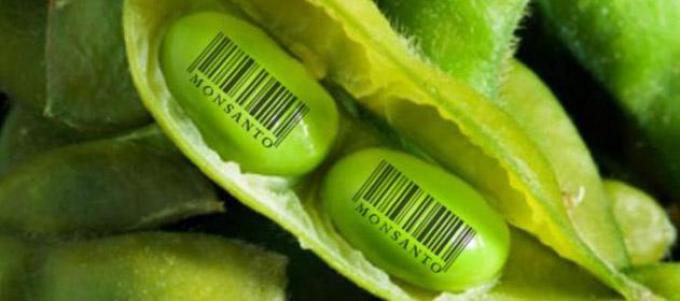 Principio de acuerdo entre Agroindustria y Monsanto