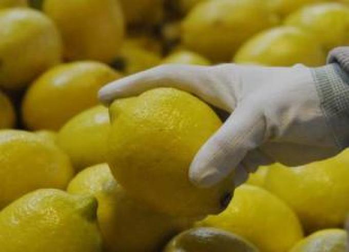 EE.UU. asegura un avance en la apertura de mercados para limones y carnes