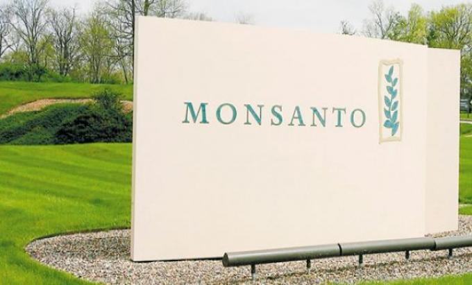 Monsanto revisará sus planes de negocios en el país