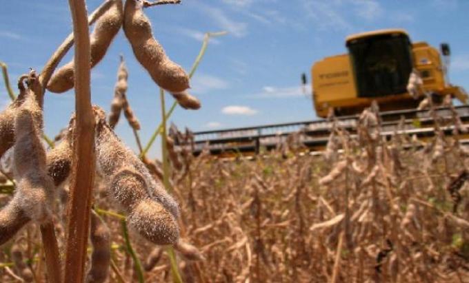 Buenos Aires y La Pampa mantienen el rinde medio nacional de soja en 30 qq/ha