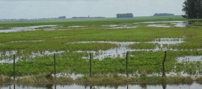 Extendieron el estado de Emergencia y Desastre Agropecuario en Entre Ríos