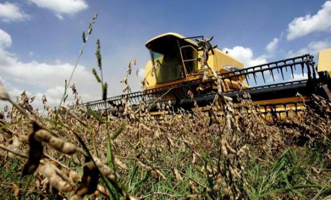 Mejora el ingreso de los productores en la campaña 2015/16