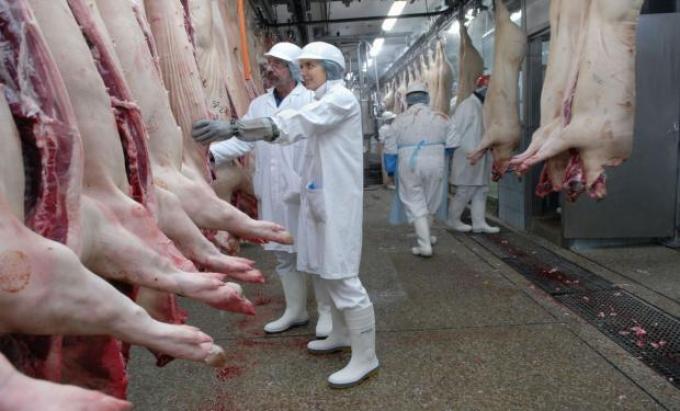Alertan por el perjuicio de las importaciones de carne porcina y aviar
