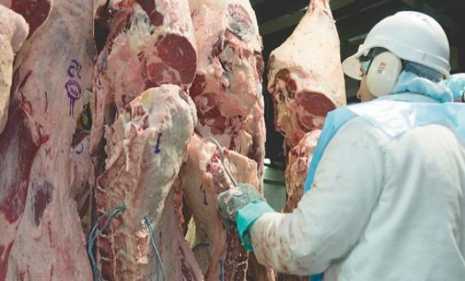 Positivo: carne argentina se posiciona en el mundo