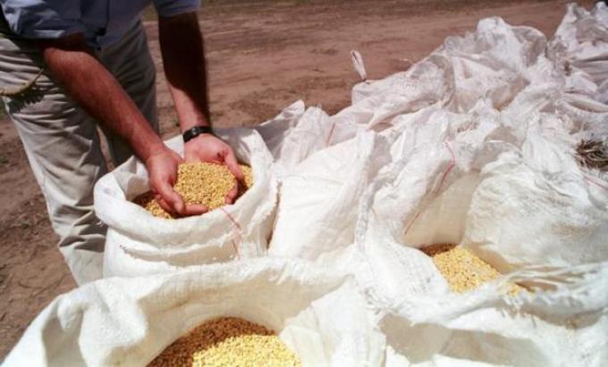 Agroindustria presentará el 17 de agosto el nuevo proyecto de la Ley de Semillas