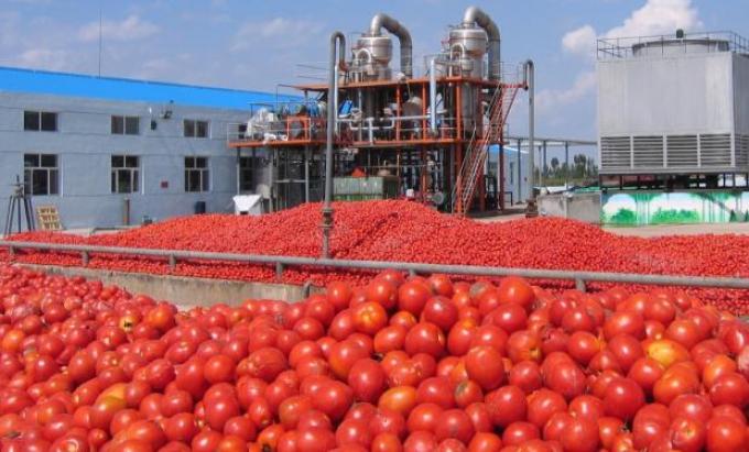 Lanzan un bono social por $ 220 para ahorrar en "tomate futuro"