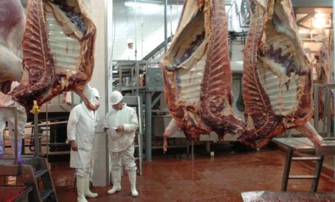 Negociación UE-Mercosur: posición europea sobre la carne