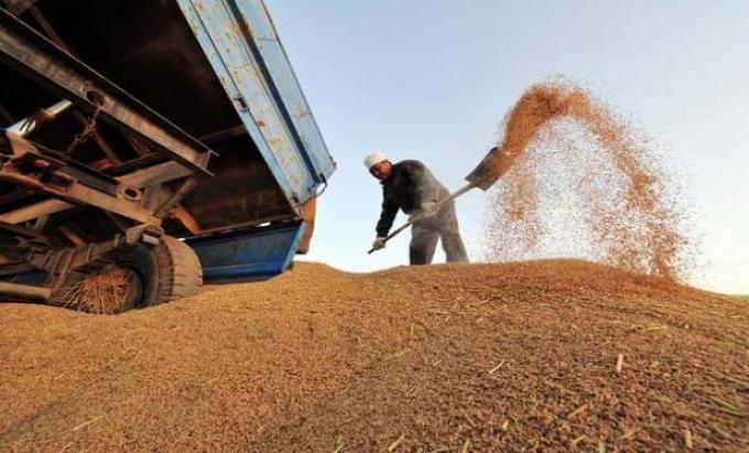 Queja por los subsidios agrícolas de China