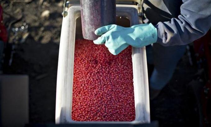 El nuevo orden mundial de los agroquímicos