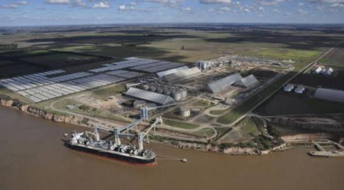 China dejó de comprar aceite de soja argentino