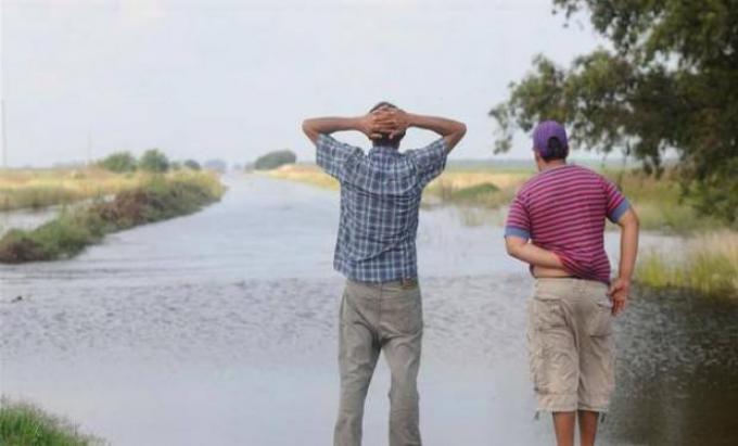 "El Niño se convirtió en el fundamento de mayor peso en el mercado agrícola"