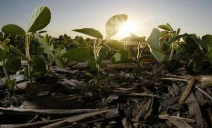 Anticipan un impacto mínimo de La Niña