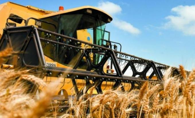 Lanzan nuevo relevamiento gratuito de calidad del trigo