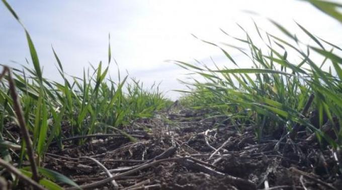 ¿Cómo viene la campaña agrícola en el sudeste bonaerense?