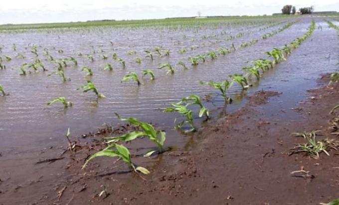 Claves para el manejo de excedentes hídricos