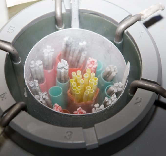 Curso Internacional de Entrenamiento en Congelamiento de Semen e Inseminación Artificial en Ovinos y Caprinos