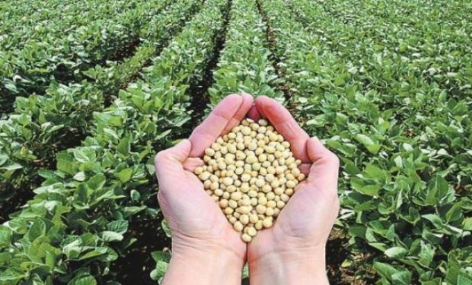 Advierten que para que el agro capte más inversiones se deben corregir asimetrías