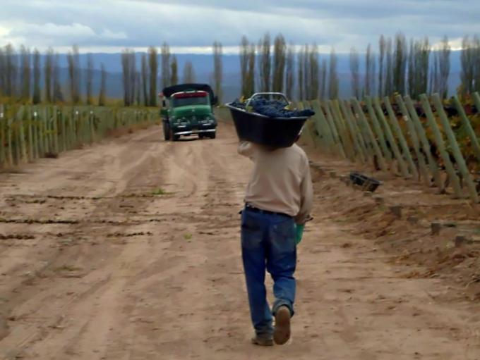A cuatro meses de vigencia del “Programa de Recuperación Productiva” Agroindustria aún no reglamentó beneficios para economías regionales