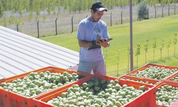 Durante el mes de noviembre, el público pagó 5,2 veces más los productos del campo