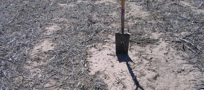Un informe sugiere que la agricultura combinada con la ganadería degrada los suelos