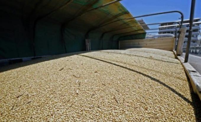 Estiman un crecimiento de US$ 6.500 millones para el PBI agroindustrial