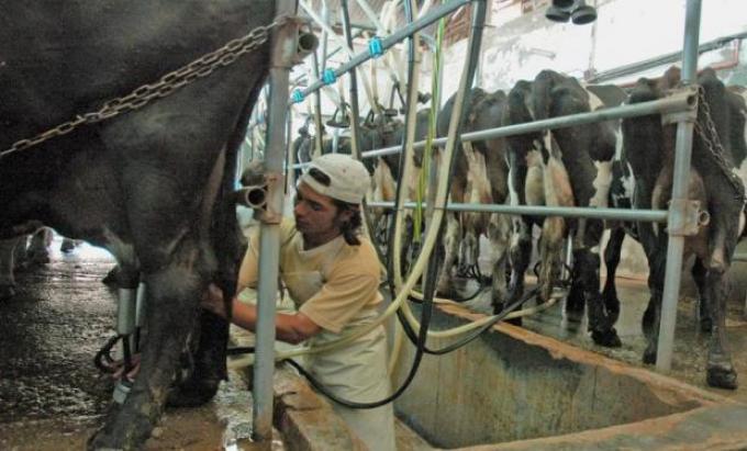 Mejores números para los tambos, pero los productores dicen que no cubren los costos