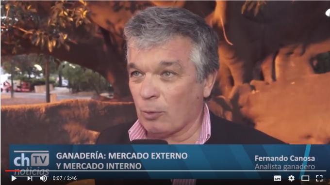 Ganadería: Mercado externo y mercado interno