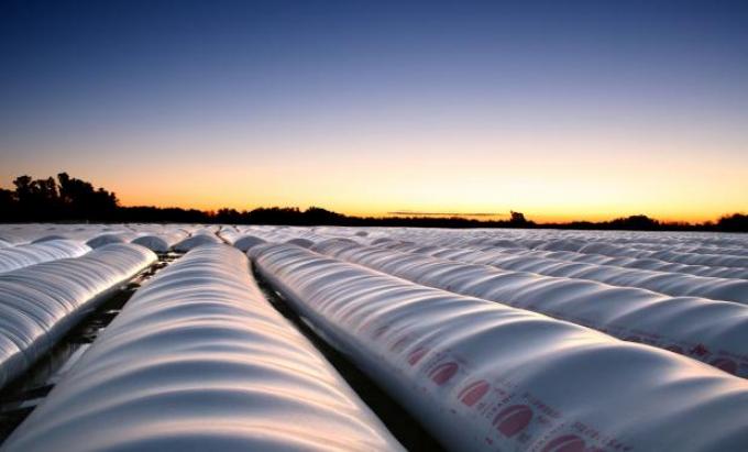 Se prevé una cosecha récord y la venta de silobolsas trepa 15%