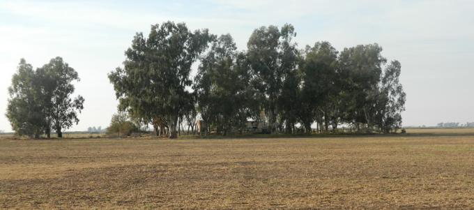 Impulsan una Ley que obligará a productores a forestar el 1% de su campo
