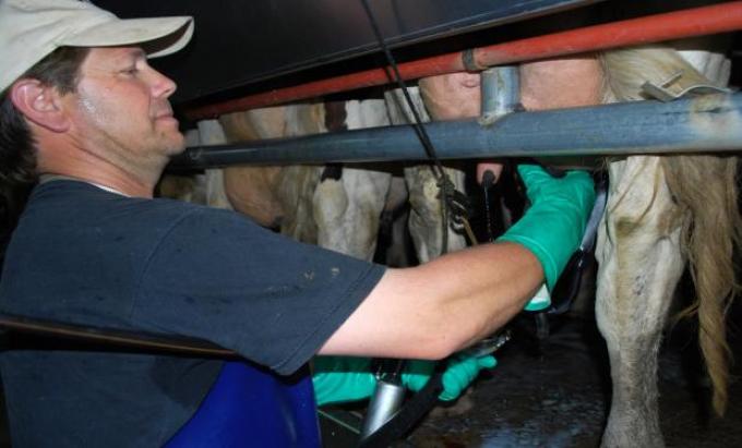 Impulsarán mercados lácteos para La Pampa