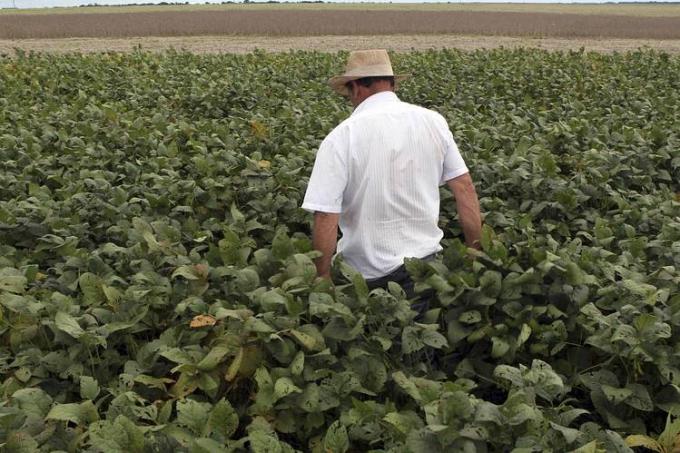 El clima Sudamericano seguirá siendo el foco de los granos