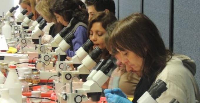 Análisis desarrollado por el INTA será aplicado en todo el mundo