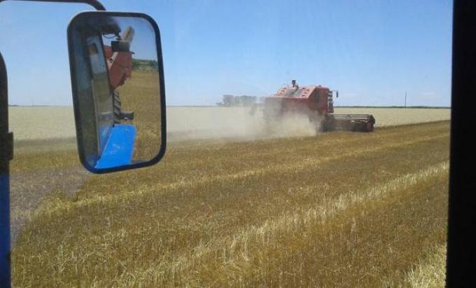 Los productores vuelven a recibir el precio “lleno” del trigo