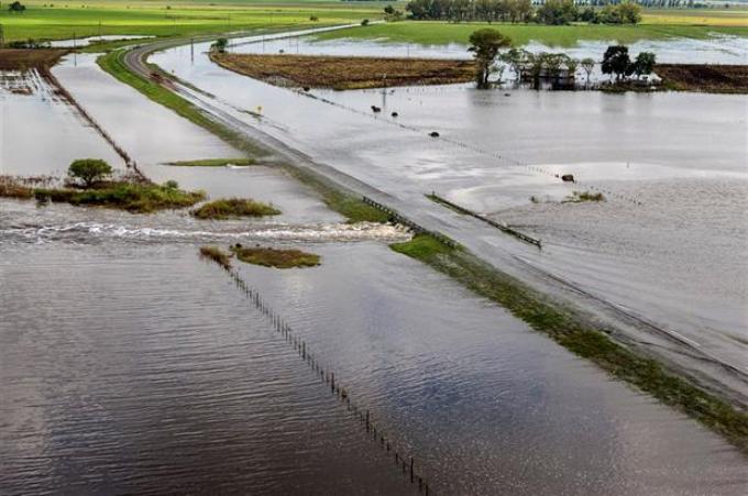 Por la lluvia, el 10% de la soja en la zona núcleo corre riesgos